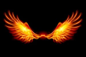 phoenix-home-values-rising