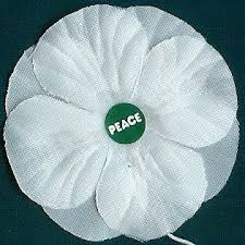 peace poppy